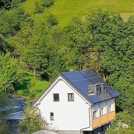 Ferienhaus Baron *