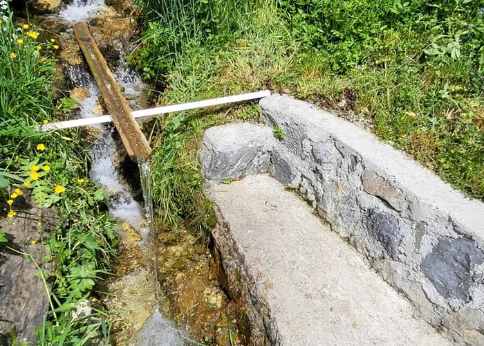 Baron Tatil Evi Radece