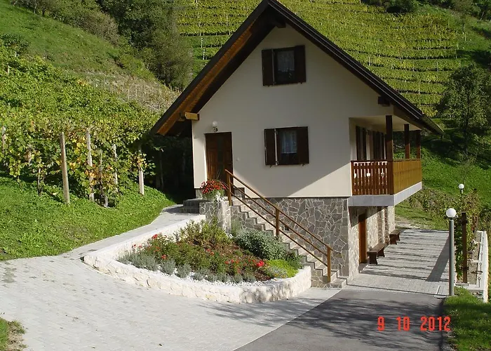 Baron Tatil Evi Radece